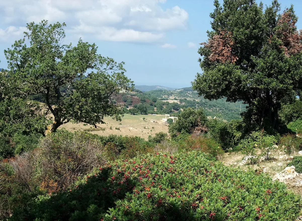 In che zona dormire a Vieste: guida pratica alle migliori aree