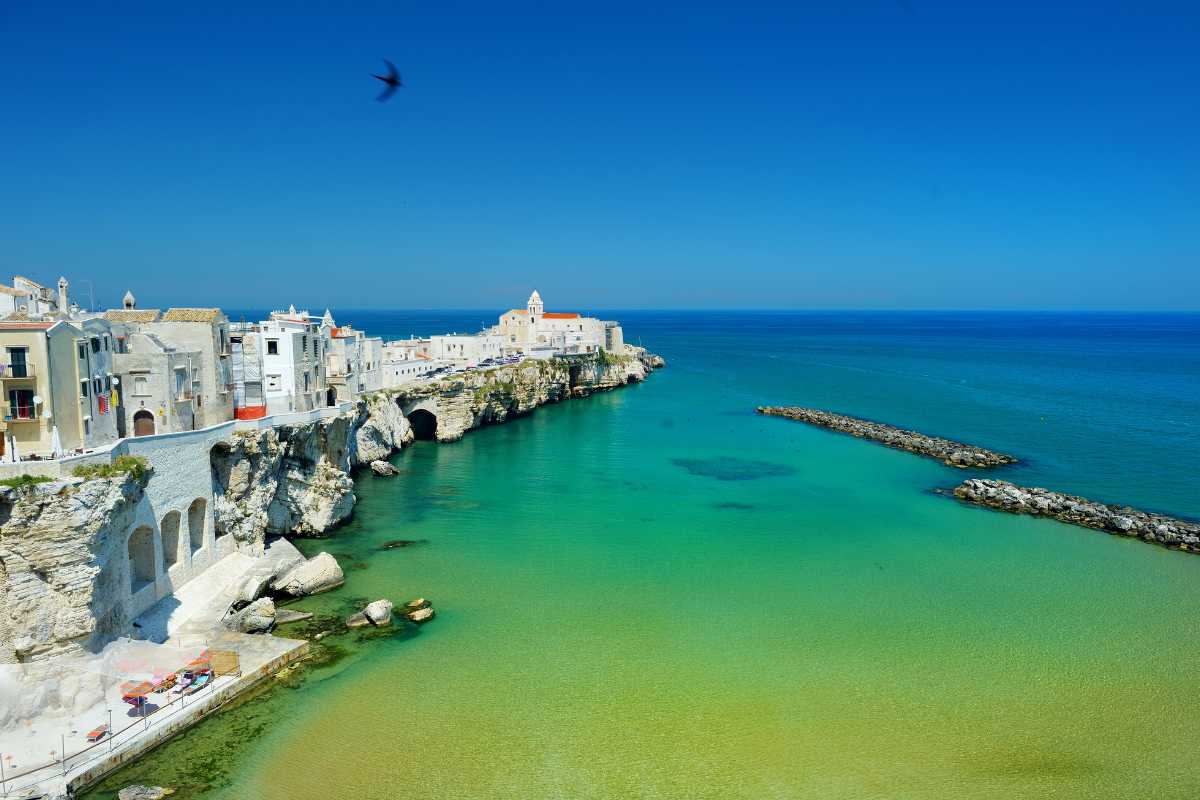 Scorcio panoramico su Baia di Molinella a Vieste, ombrelloni colorati, famiglie in relax, mare calmo e limpido, dune di sabbia con vegetazione mediterranea